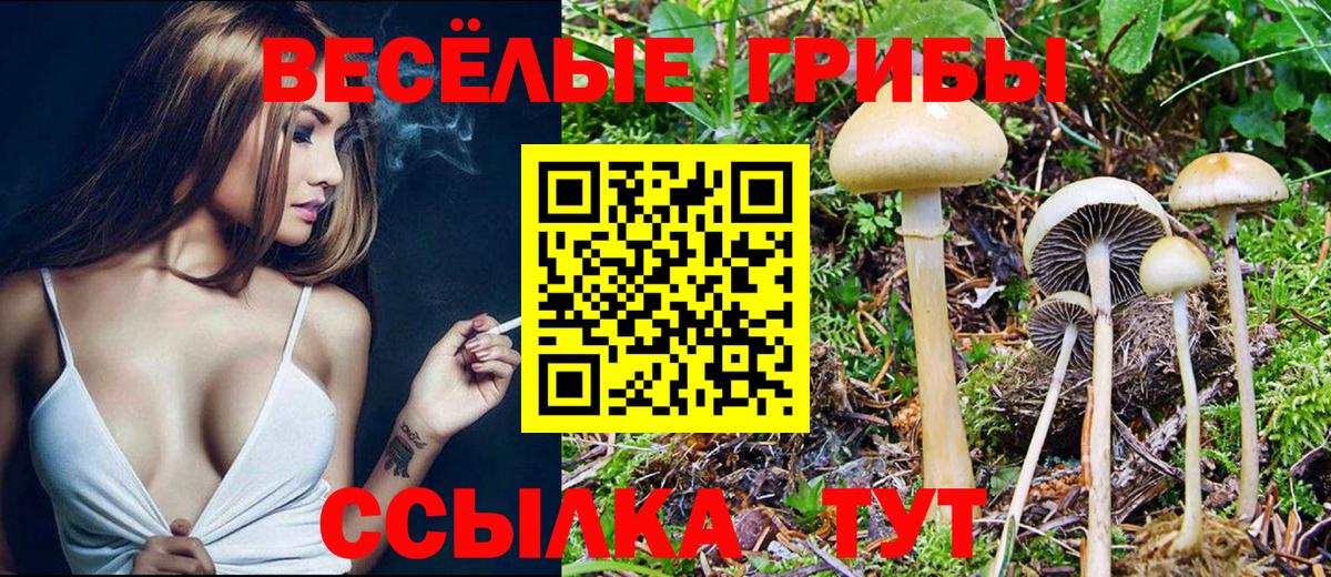 купить  сайты  Вход с VPN  Орёл  Псилоцибиновые грибы ЛСД 